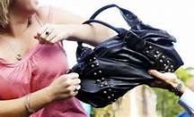 a-bag-snatcher