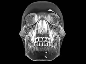 a-crystal-skull