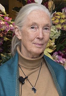 a-jane_goodall_2015