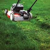 a-mowing-scene