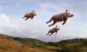 a-pigs-image