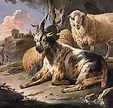 a-sheep-and-goats-image